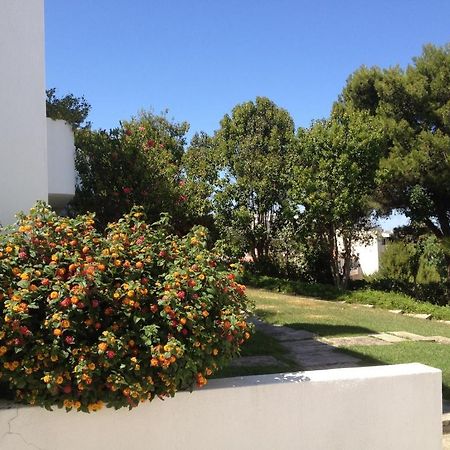 Cheerfulway Alto Do Moinho Apartamentos Albufeira Exterior photo